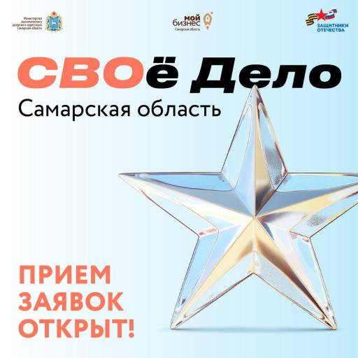 Проект. СВОё Дело. Самарская область.