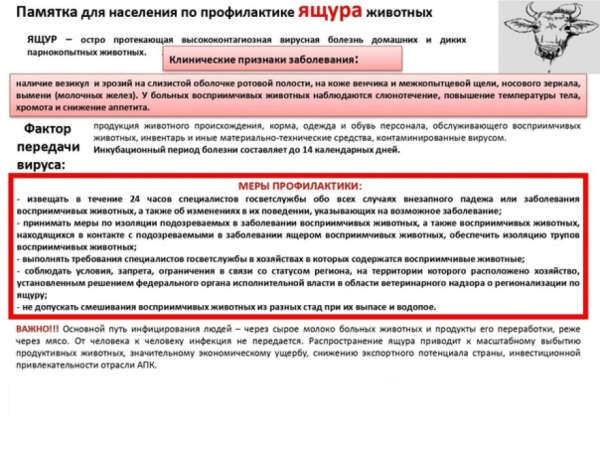 Памятка по профилактике ЯЩУРА животных!