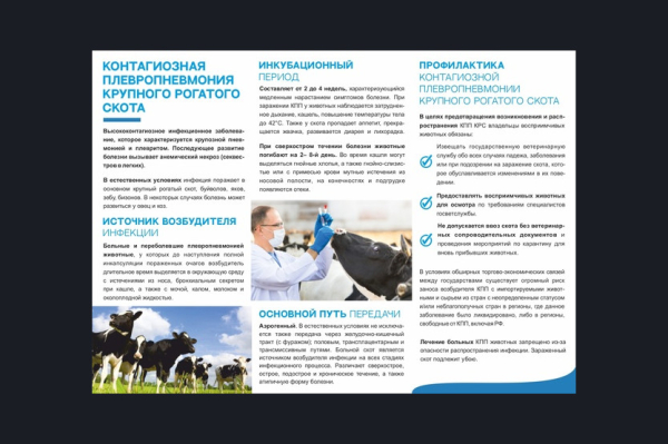 Осторожно КОНТАГИОЗНАЯ ПЛЕВРОПНЕВМОНИЯ!!!