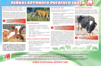 Памятка по профилактике лейкоза