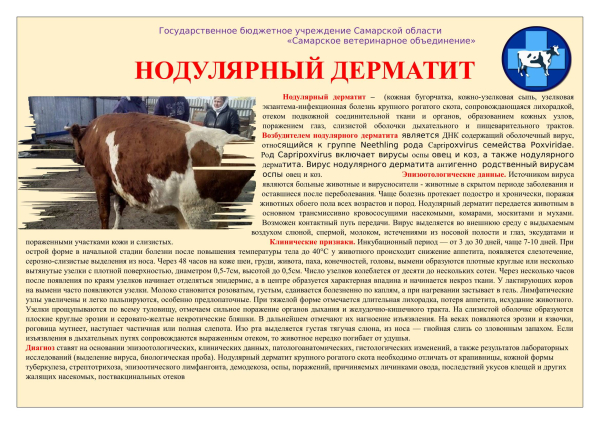 Осторожно! Модулярный дерматит у КРС