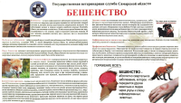 Памятка по профилактике бешенства