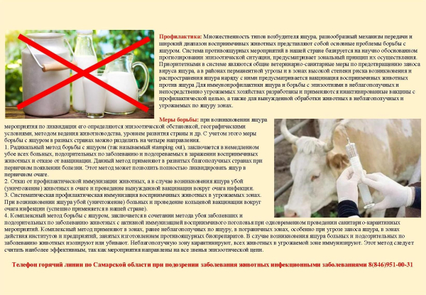 Ящур - меры профилактики!