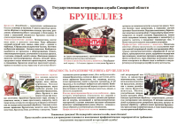 Памятка по профилактике бруцеллеза