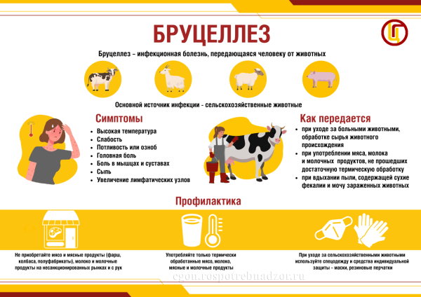 Осторожно, бруцеллез!