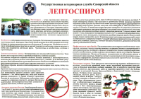 Памятка по профилактике лептоспироза