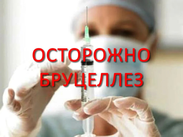 Осторожно, бруцеллез!